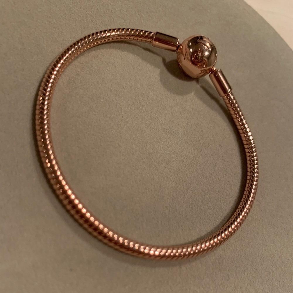 Pandora moments snake chain, charm bracelet